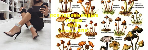 герыч Нея