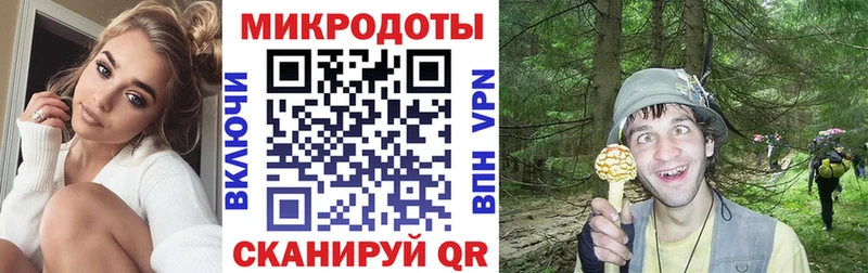Галлюциногенные грибы Psilocybine cubensis  купить наркоту  Петровск 