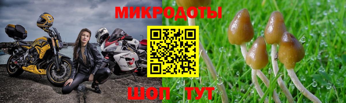 Псилоцибиновые грибы MAGIC MUSHROOMS Петровск
