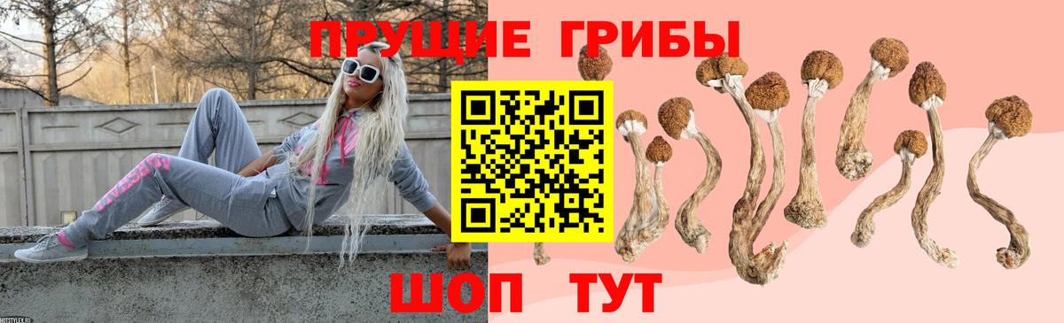 закладки  Галлюциногенные грибы GOLDEN TEACHER  Вход с VPN  Петровск 