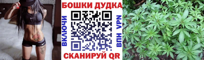 Конопля марихуана  продажа наркотиков  darknet Telegram  Петровск 